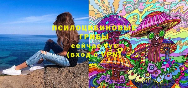 тгк Богородск
