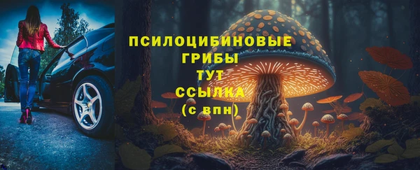 тгк Богородск