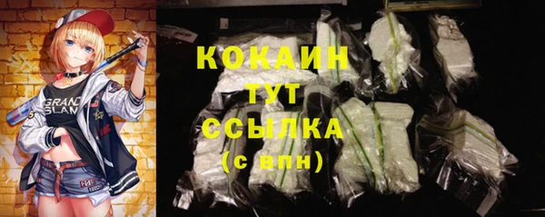 тгк Богородск