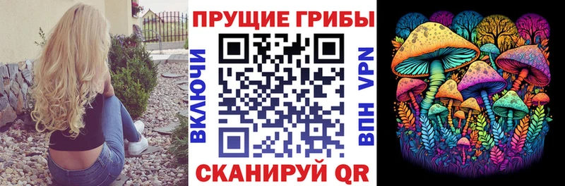 купить наркоту  Уссурийск  Псилоцибиновые грибы ЛСД 